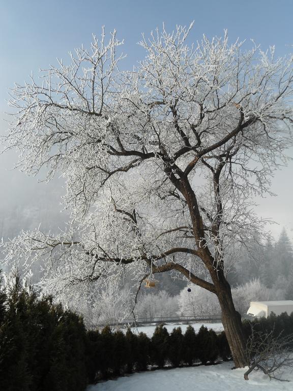 Hotel Gasthof Klammstein Dorfgastein Esterno foto